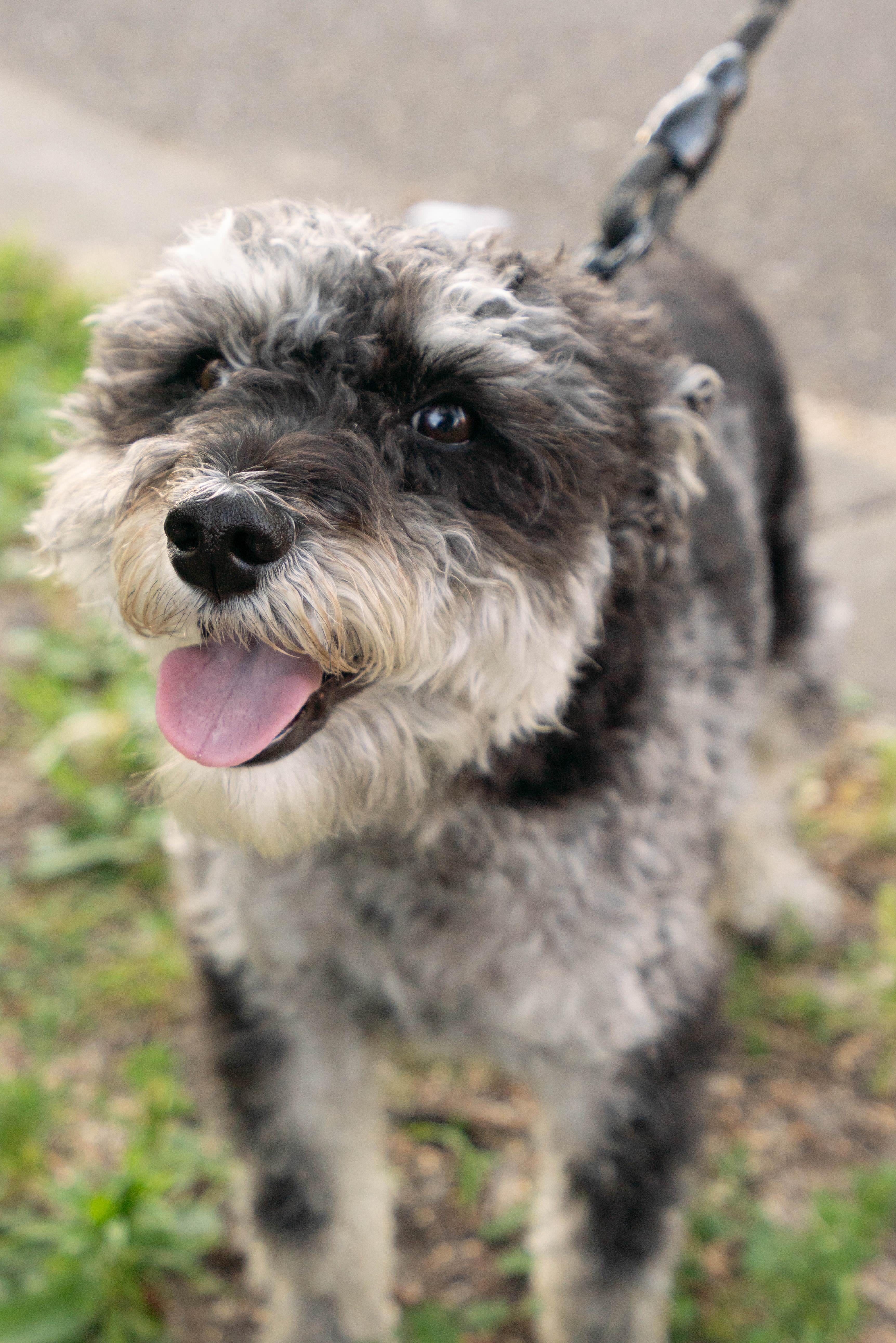 Engagement photo 015